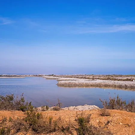 Gala Dehesa de Campoamor (Orihuela Costa)
